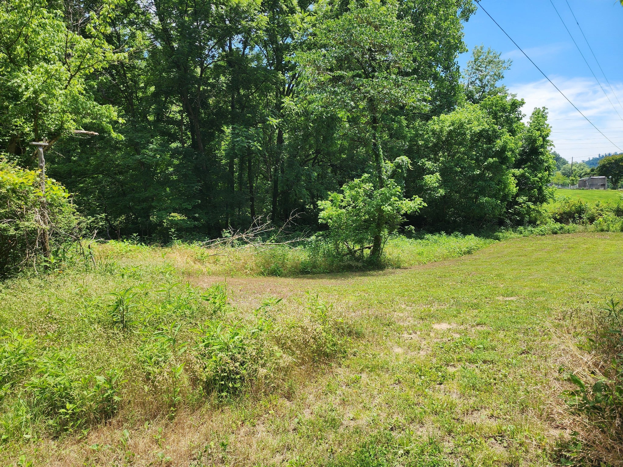 1 Scruggs Hollow Ln