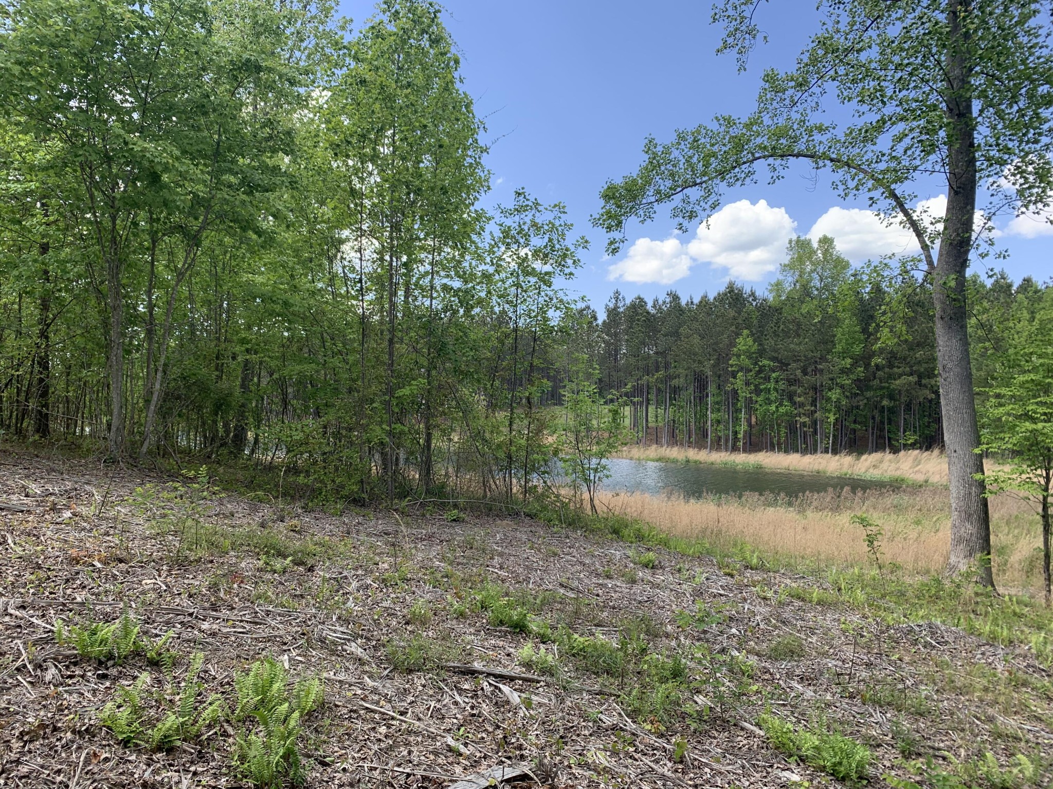 260 Cherokee Path