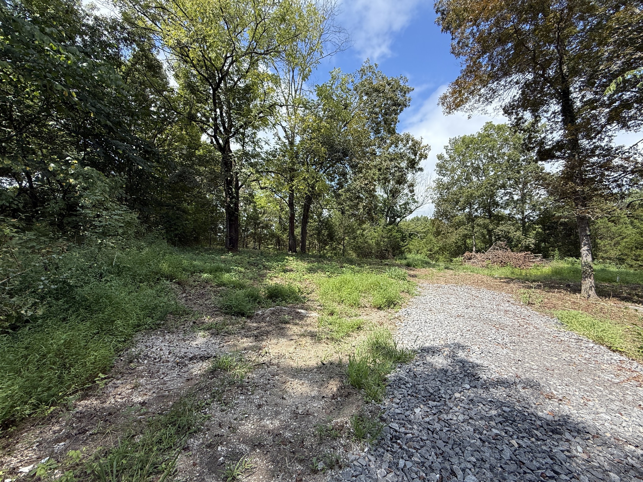 353 Trammel Ln