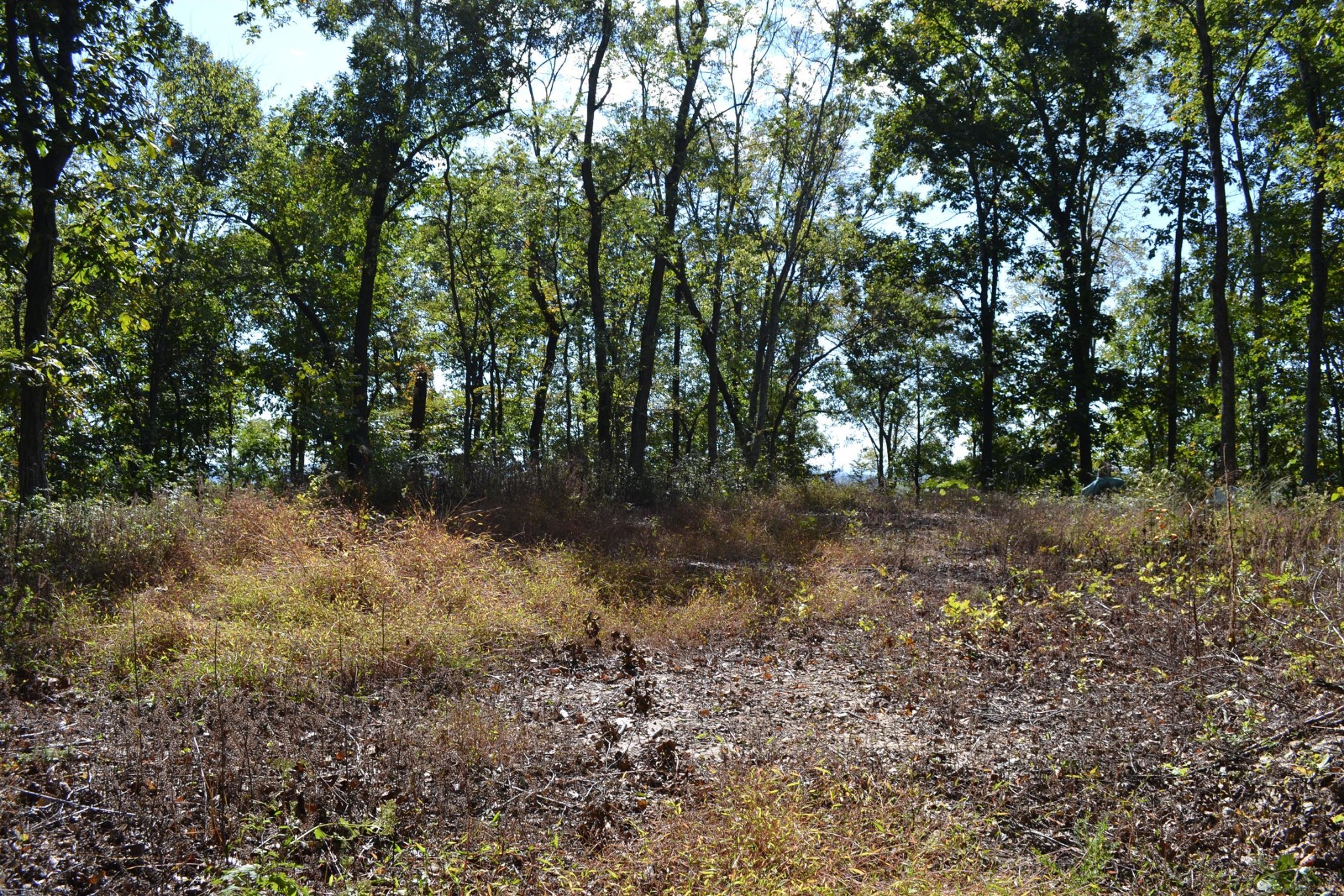 3316 Patton Branch Rd
