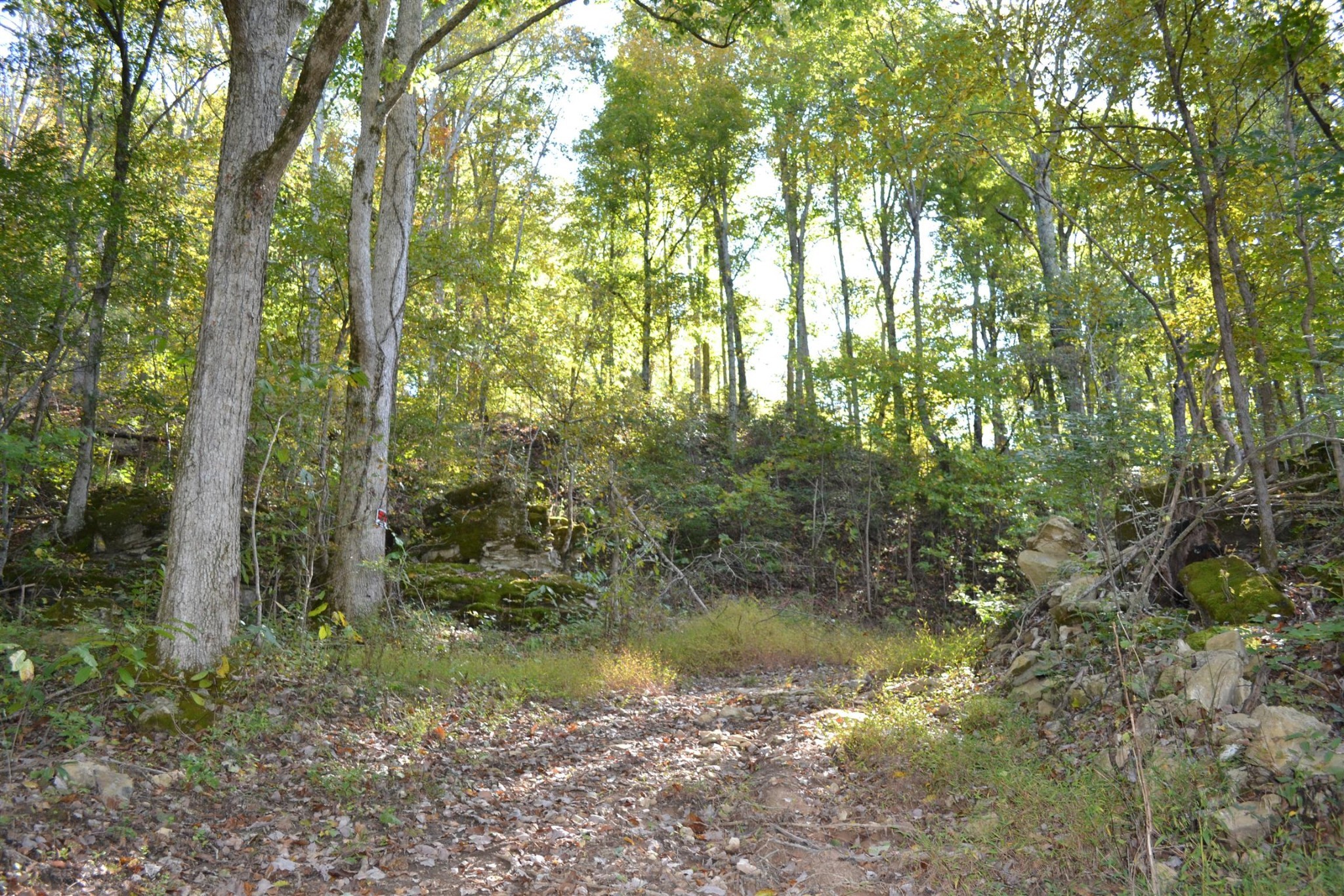 3316 Patton Branch Rd