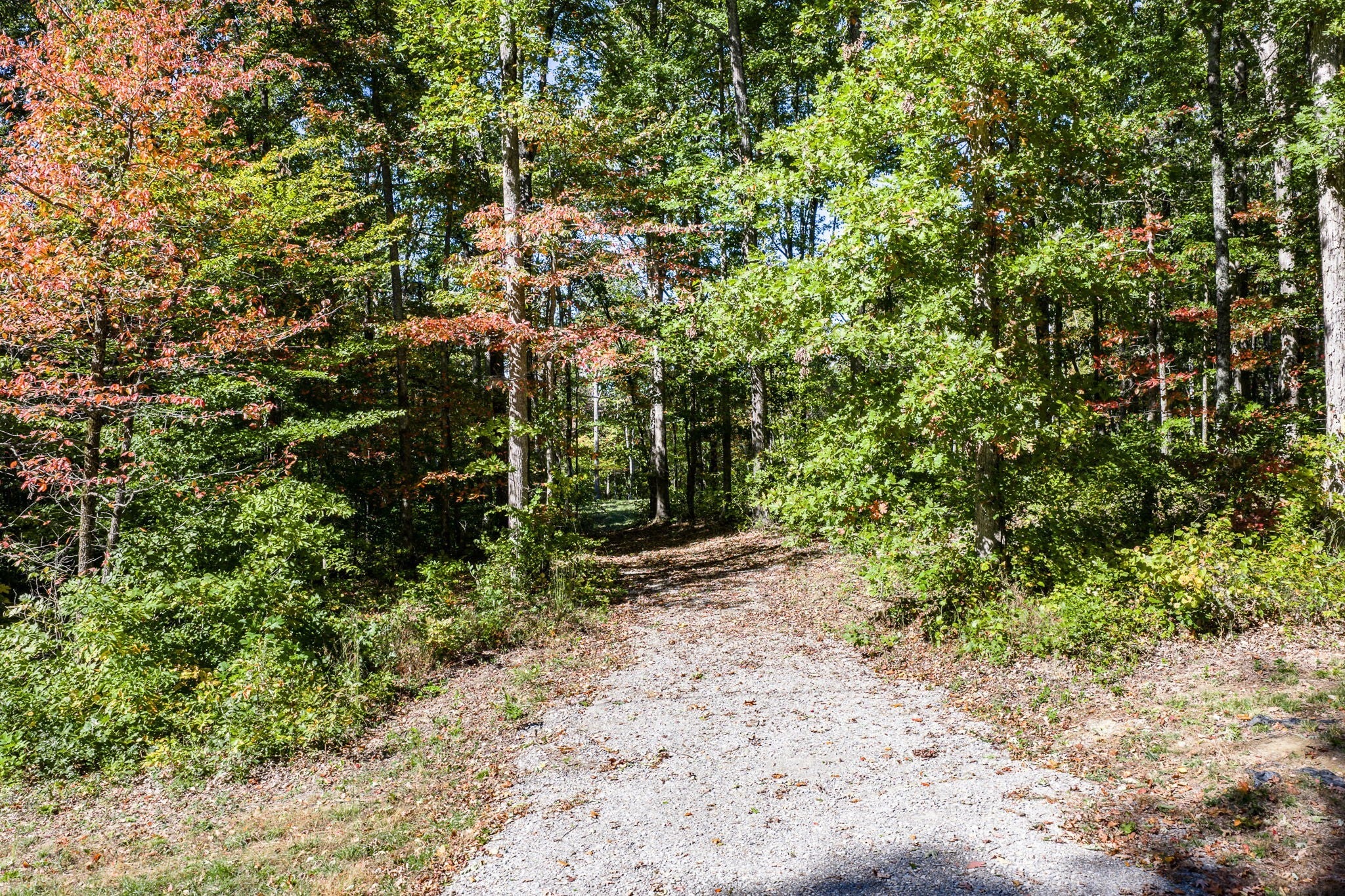 634 Cumberland Cove Rd