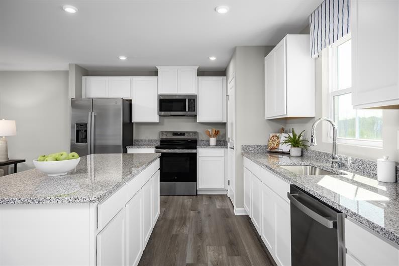 5068 Snow Owl Court