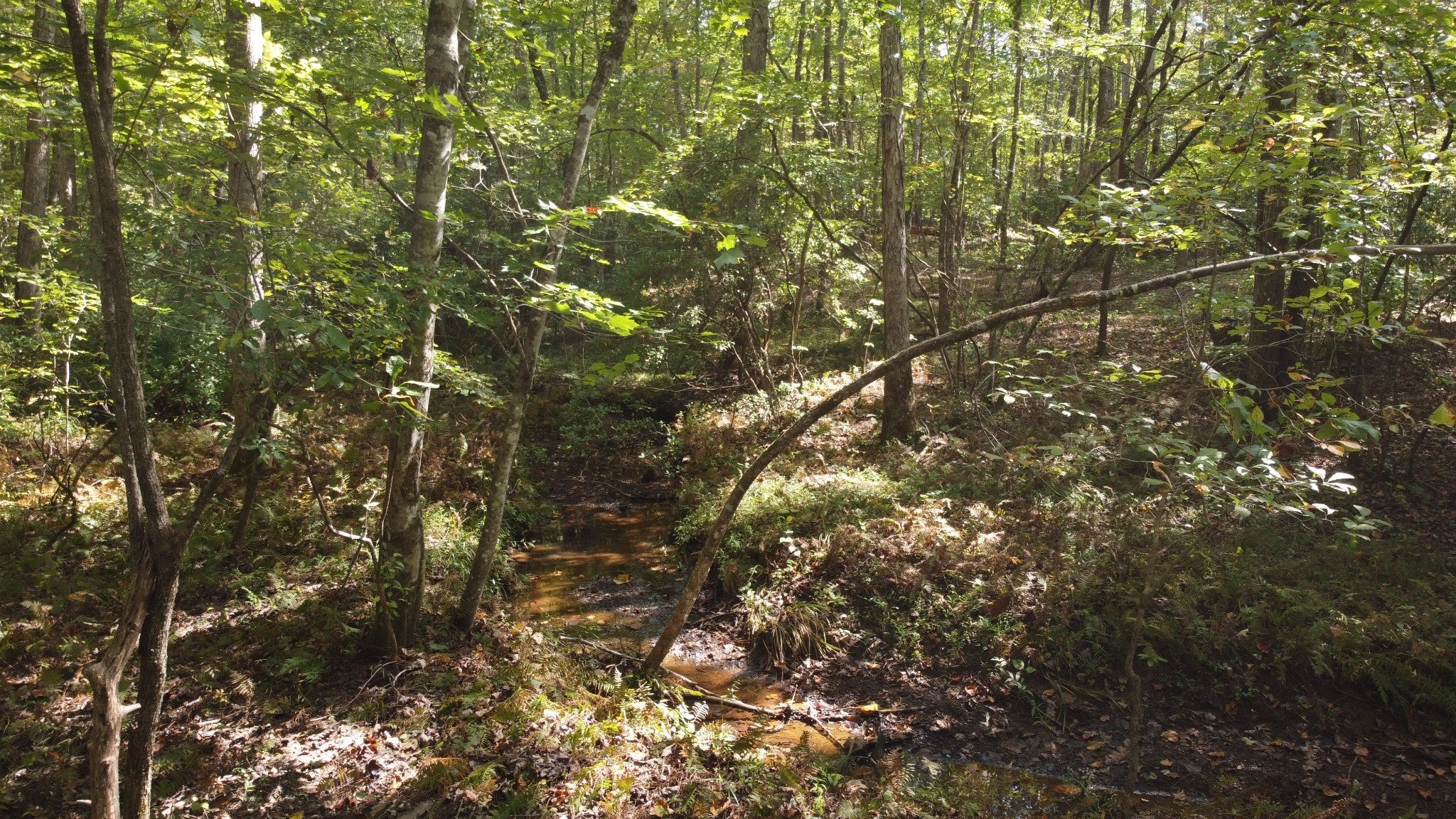 11 Camp Creek Rd