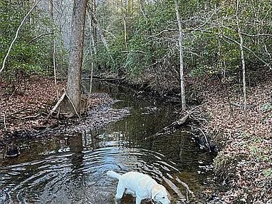11 Camp Creek Rd
