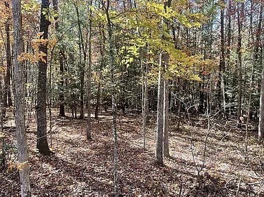 11 Camp Creek Rd