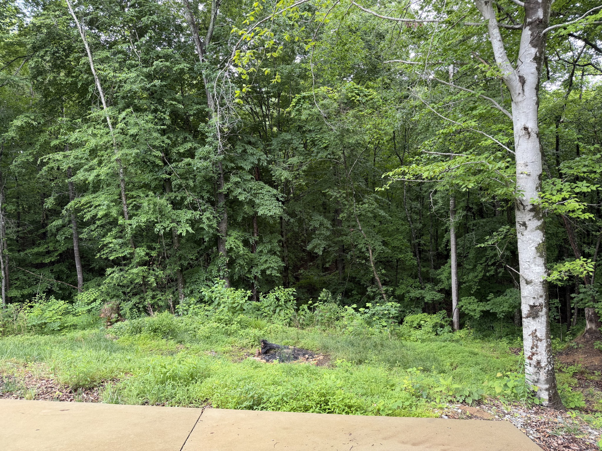 115 Dale Ln