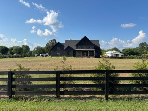 Photo of 6382 Lampkins Bridge Rd, College Grove, TN 37046 (MLS # 3038491)