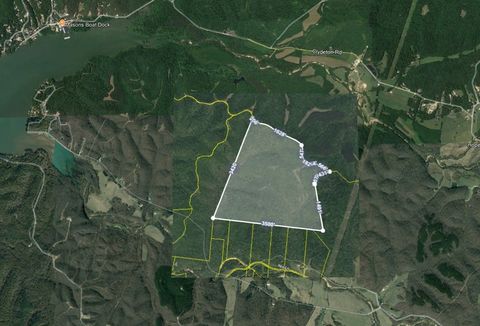 0 Richland Ridge Rd Waverly TN 37185