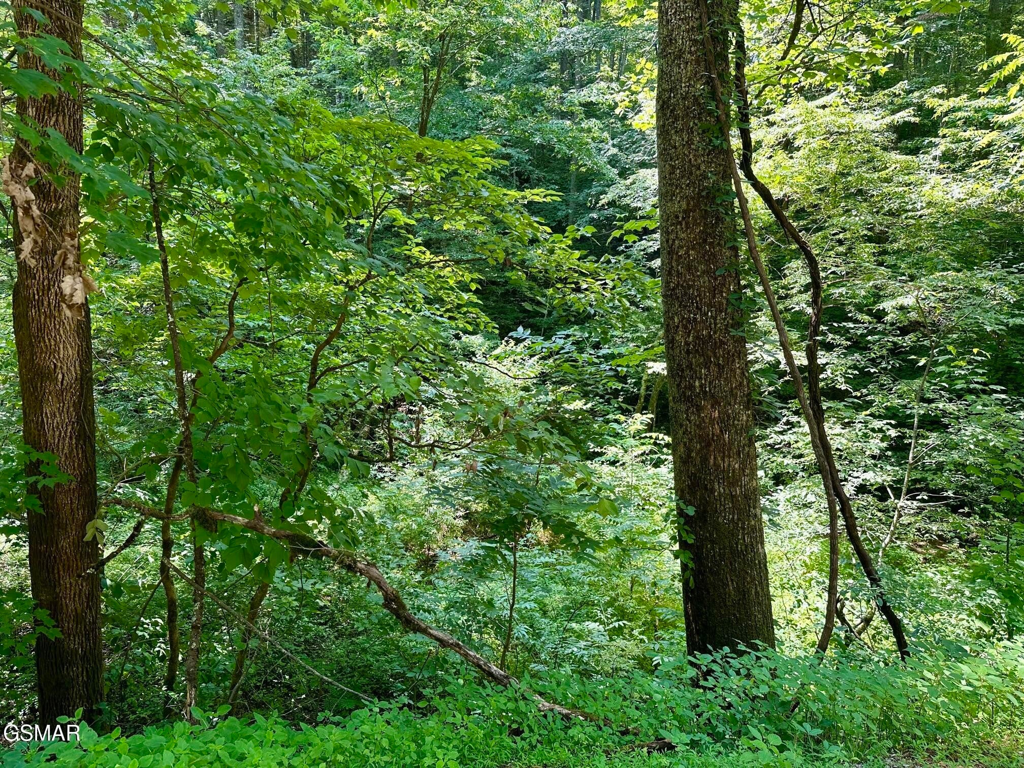 706 School House Gap Road