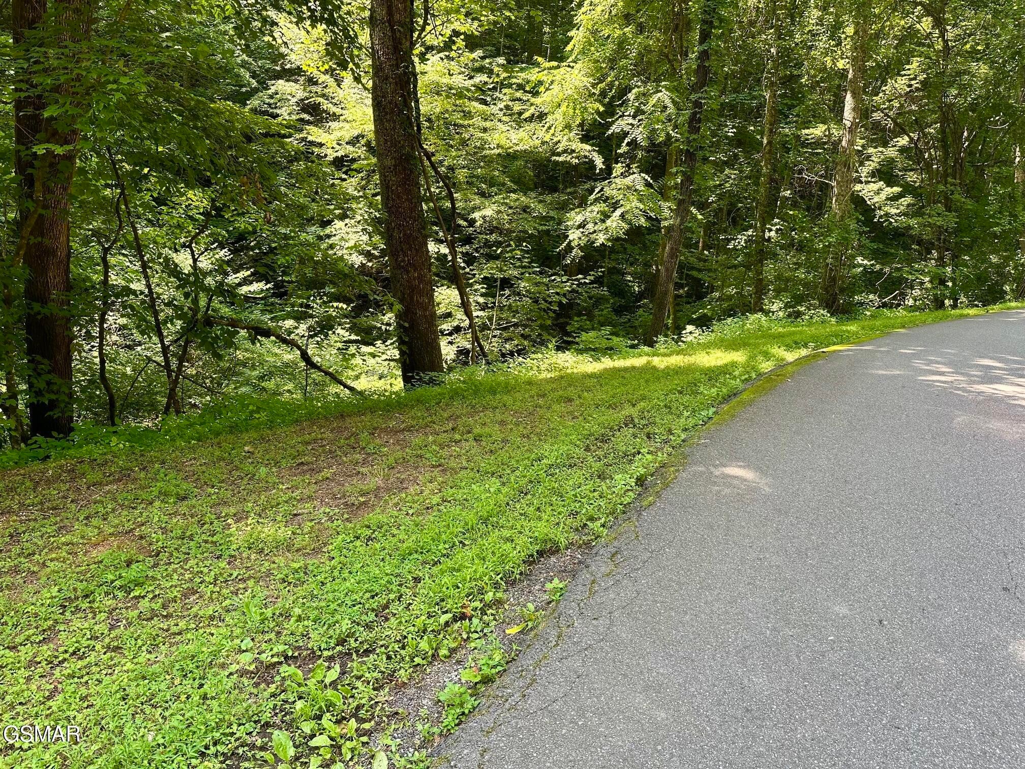 706 School House Gap Road
