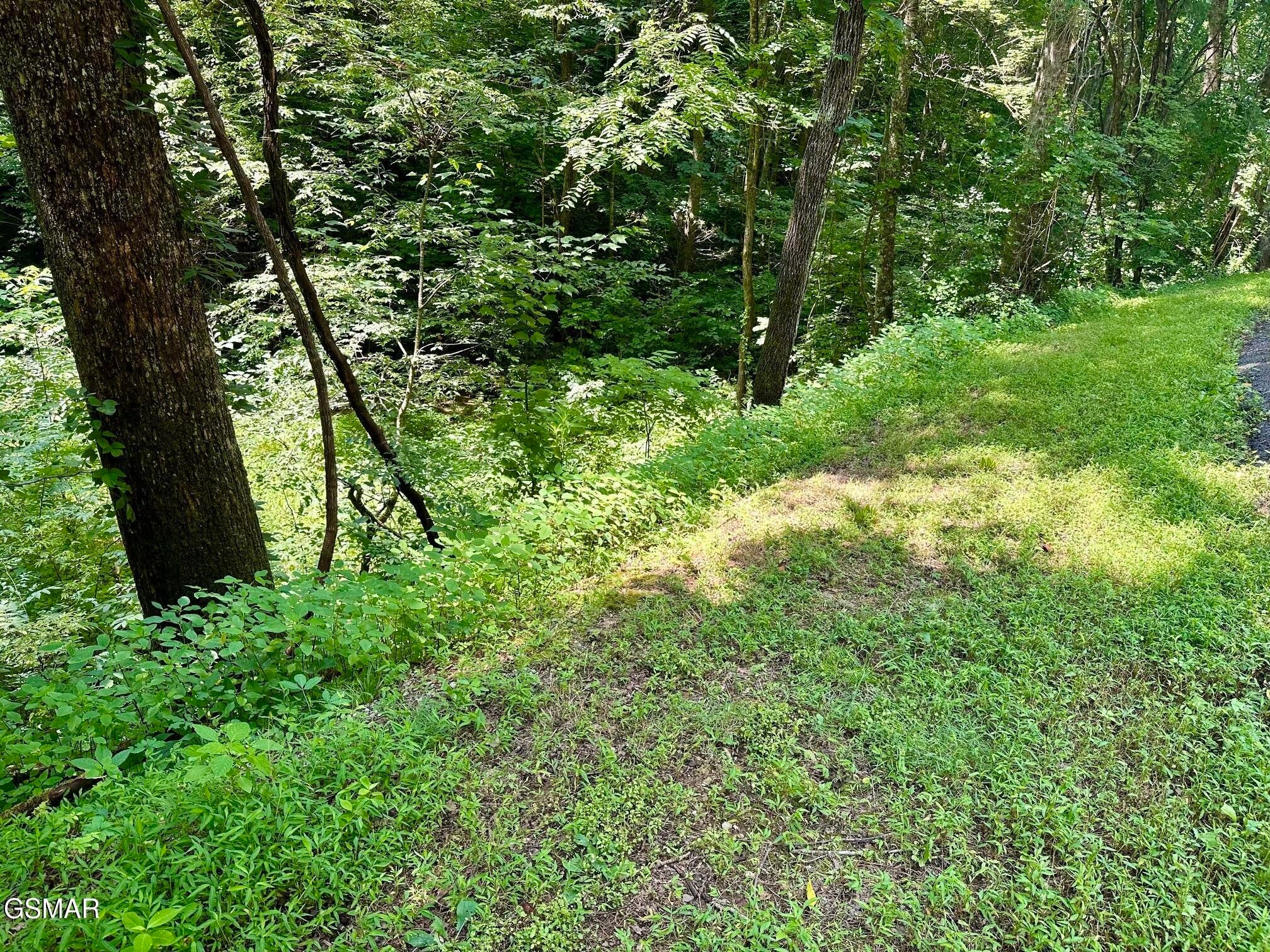 706 School House Gap Road
