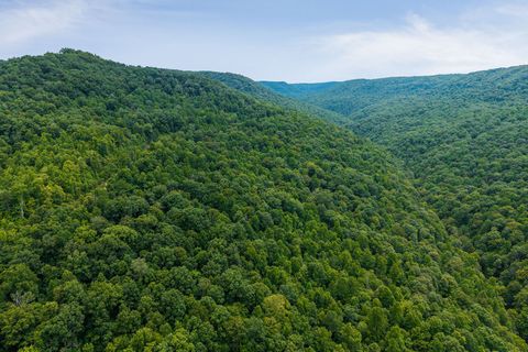 0 Bobcat LN Lot 54 W Wilder TN 38589