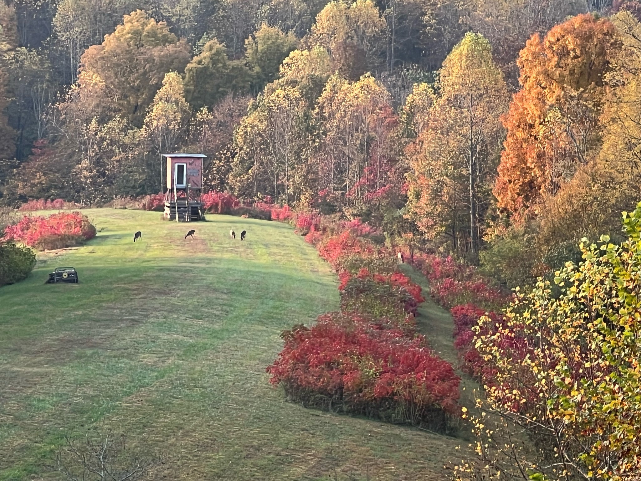 1103 Johnny Spears Rd