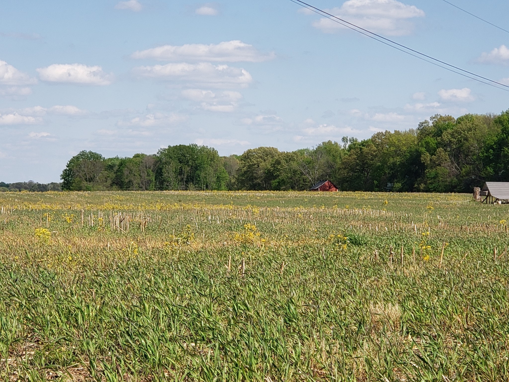 Photo 5 of 19 of 0 Cowan Rd N land