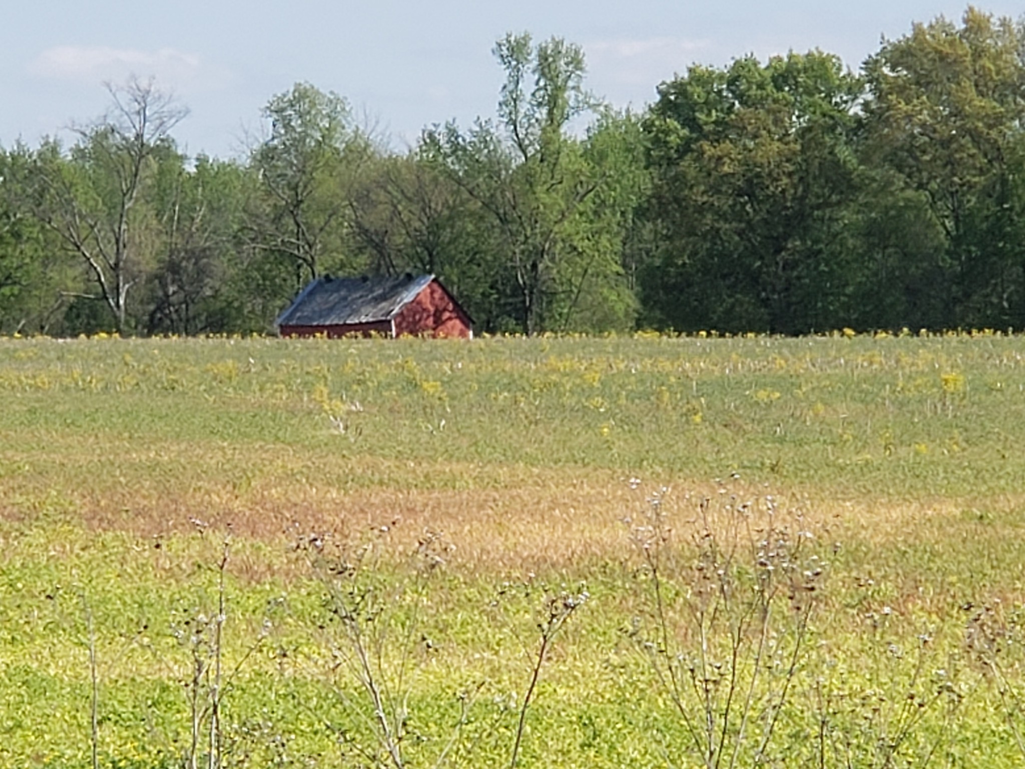 Photo 4 of 19 of 0 Cowan Rd N land