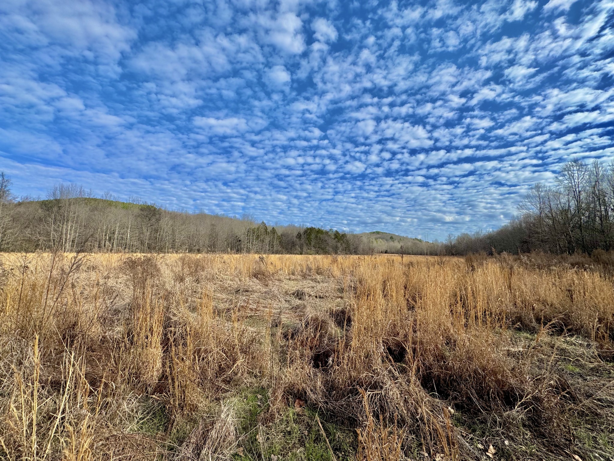 2596 Old Weatherford Creek Rd