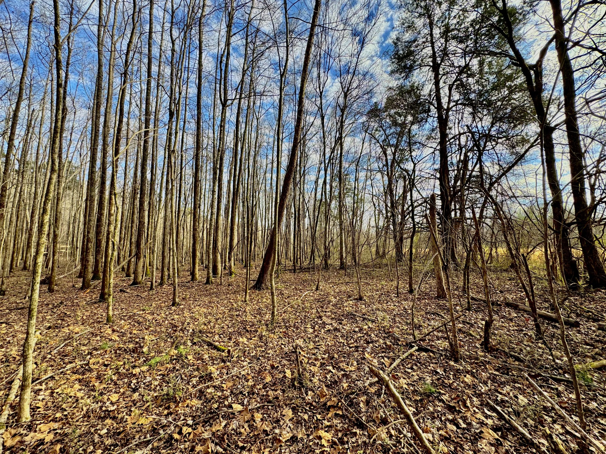 2596 Old Weatherford Creek Rd