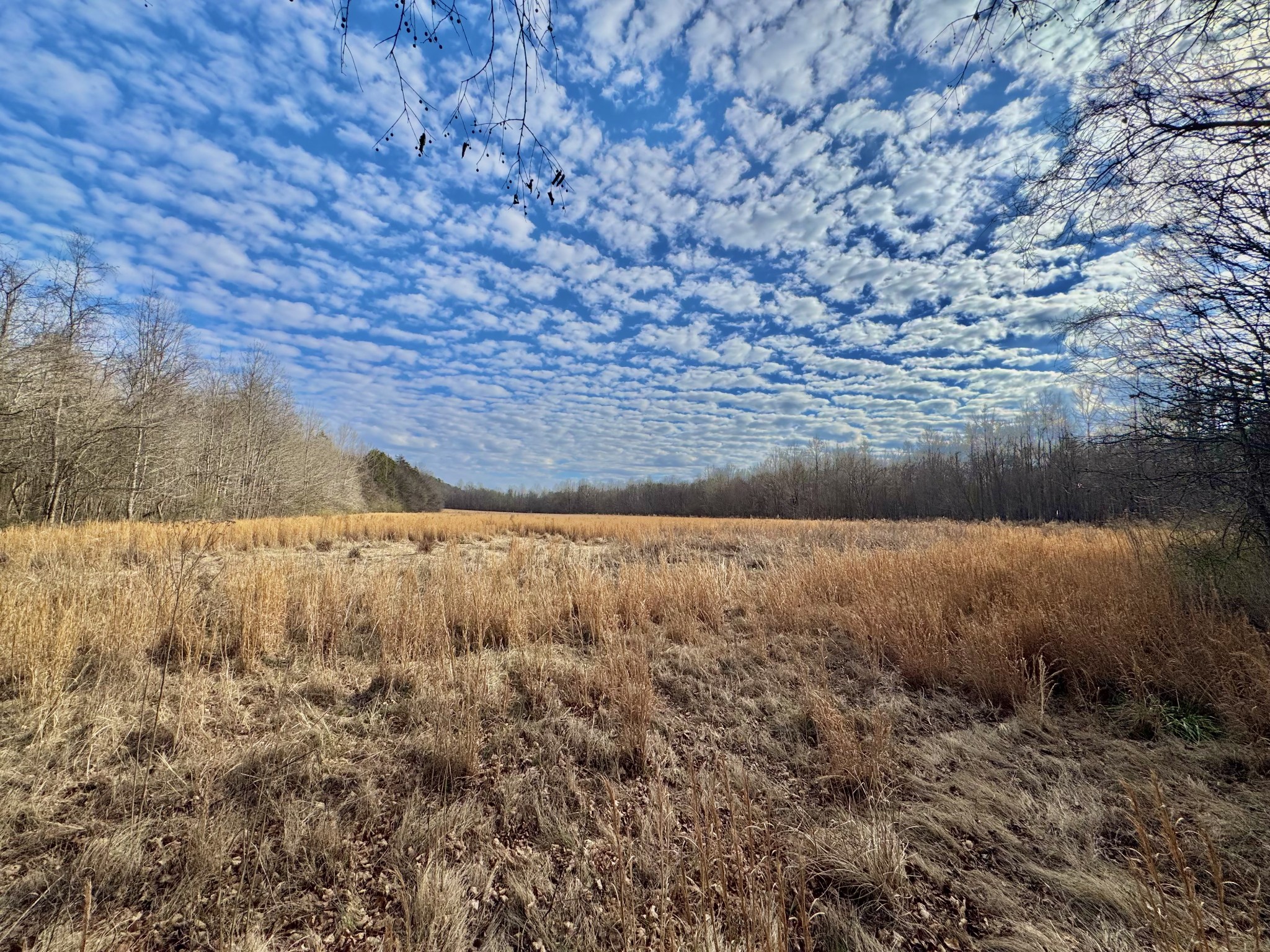 2596 Old Weatherford Creek Rd