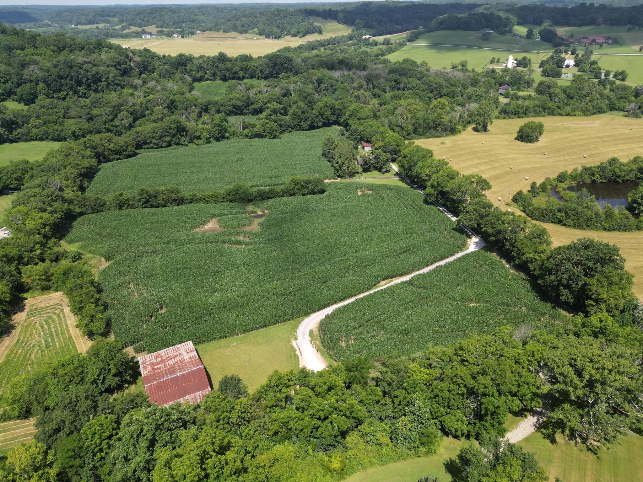 3349 Sweeney Hollow Rd