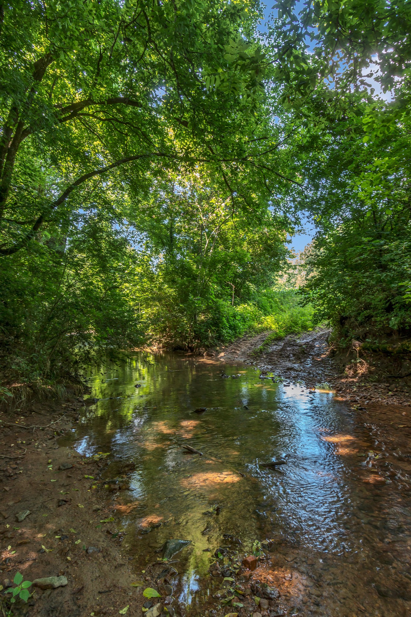 3349 Sweeney Hollow Rd