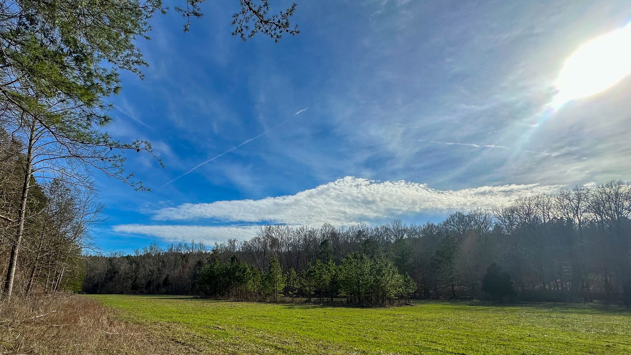 0 Jeannette Holladay Rd