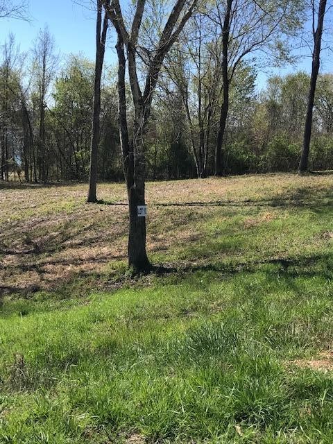 Photo 1 of 3 — 10 Piney View Drive, Spring City, TN 37381