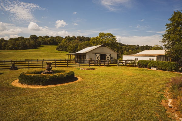 367 FRY BRANCH RD, LYNNVILLE, TN 38472 - Image 7f809d9bcb7b73c2dfbccdbc6c3665d3/262730661