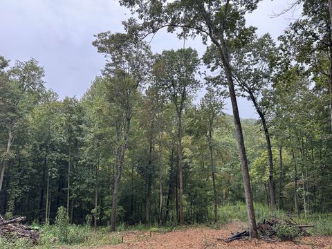 453 Gravely Hill Road Bethpage TN 37022