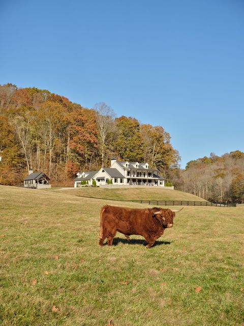 6677 Leipers Creek Rd Columbia TN 38401