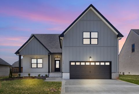 113 Aspen Pine Dr Clarksville TN 37043