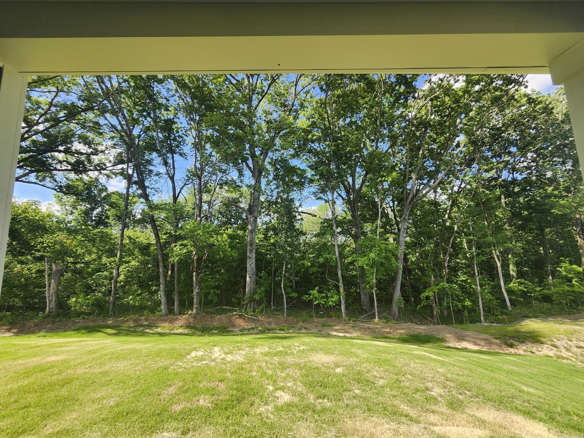 2057 Coriander Lane