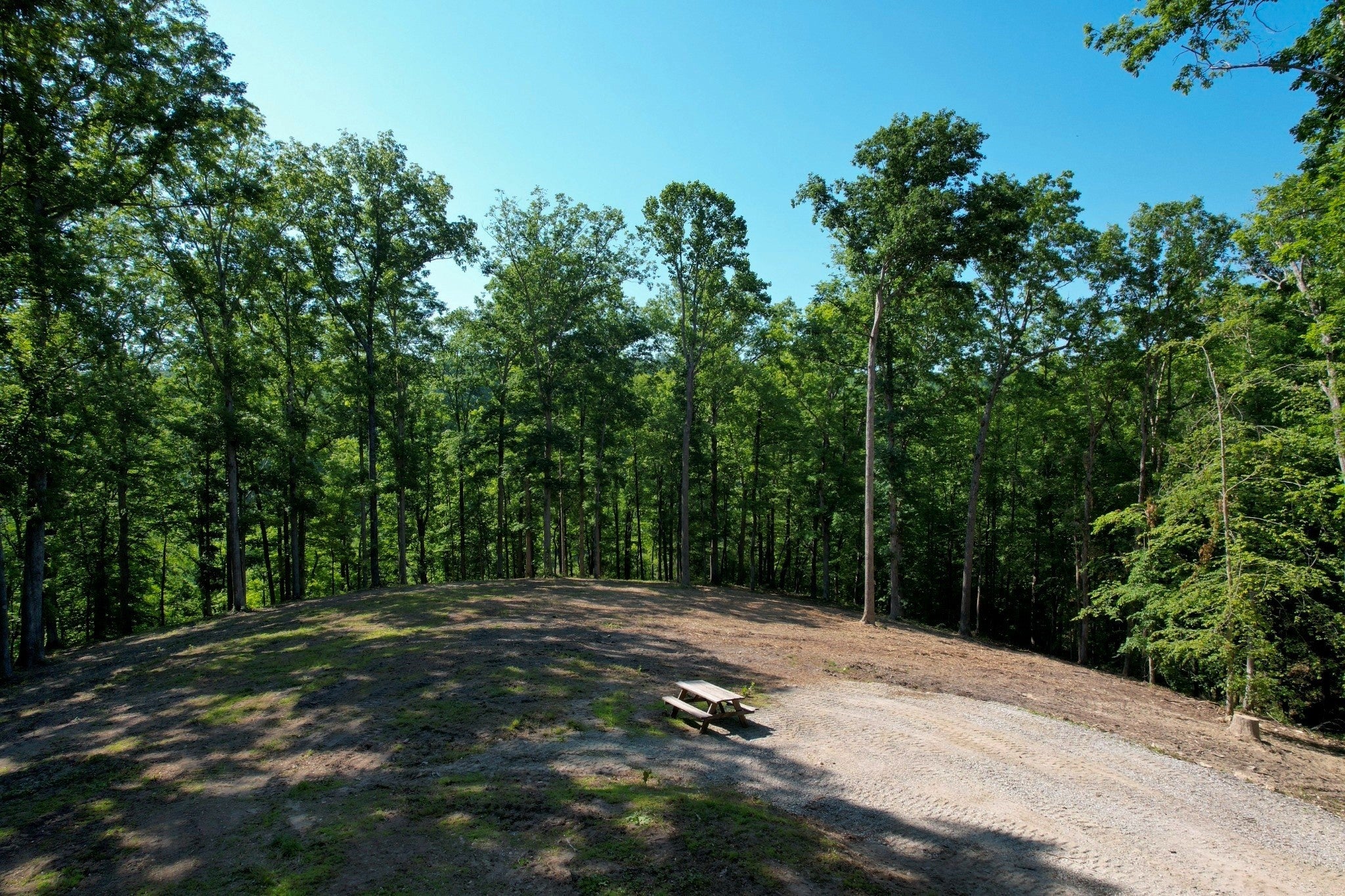 listing at 7506 Ivorybill Ln, Franklin