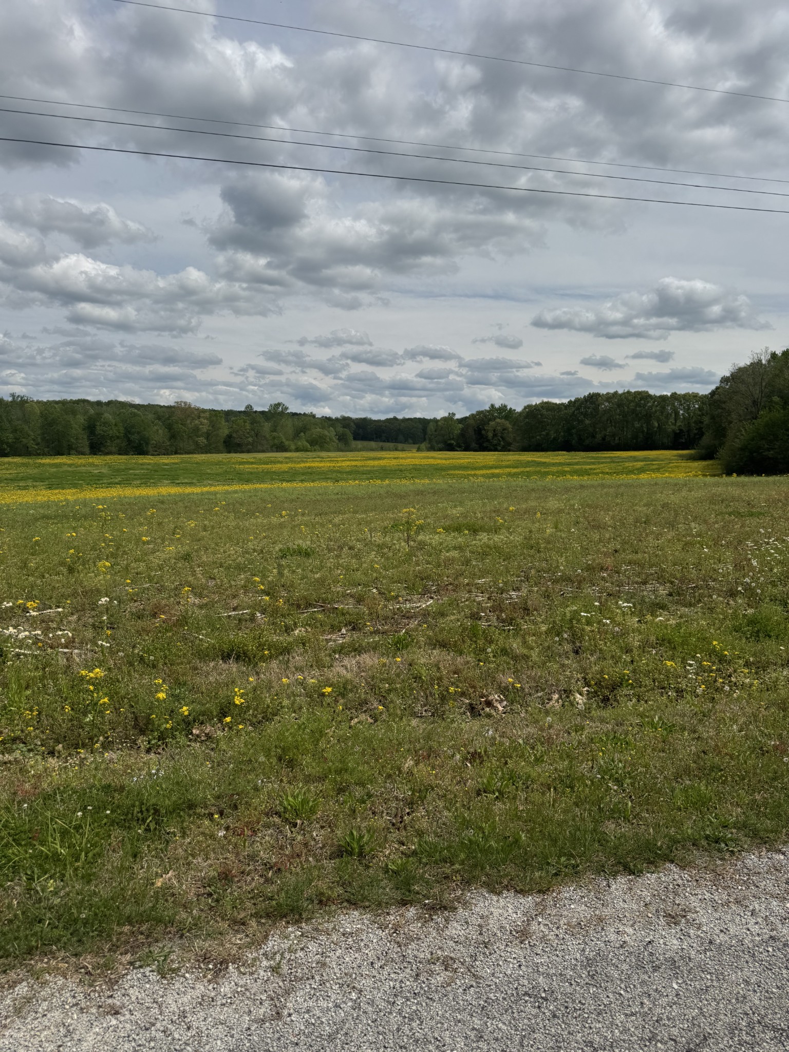 0 Taylor Cemetery Rd