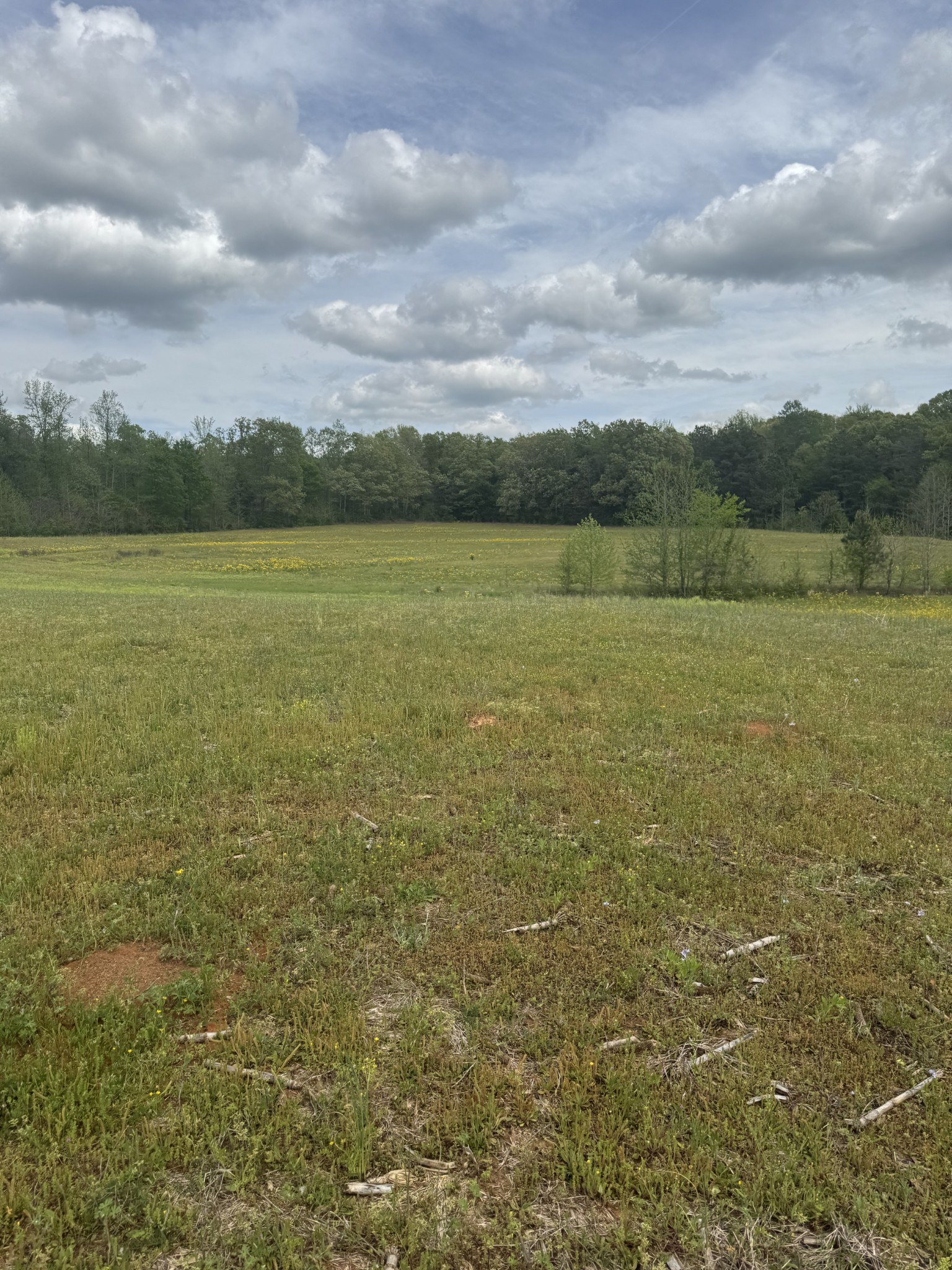 0 Taylor Cemetery Rd