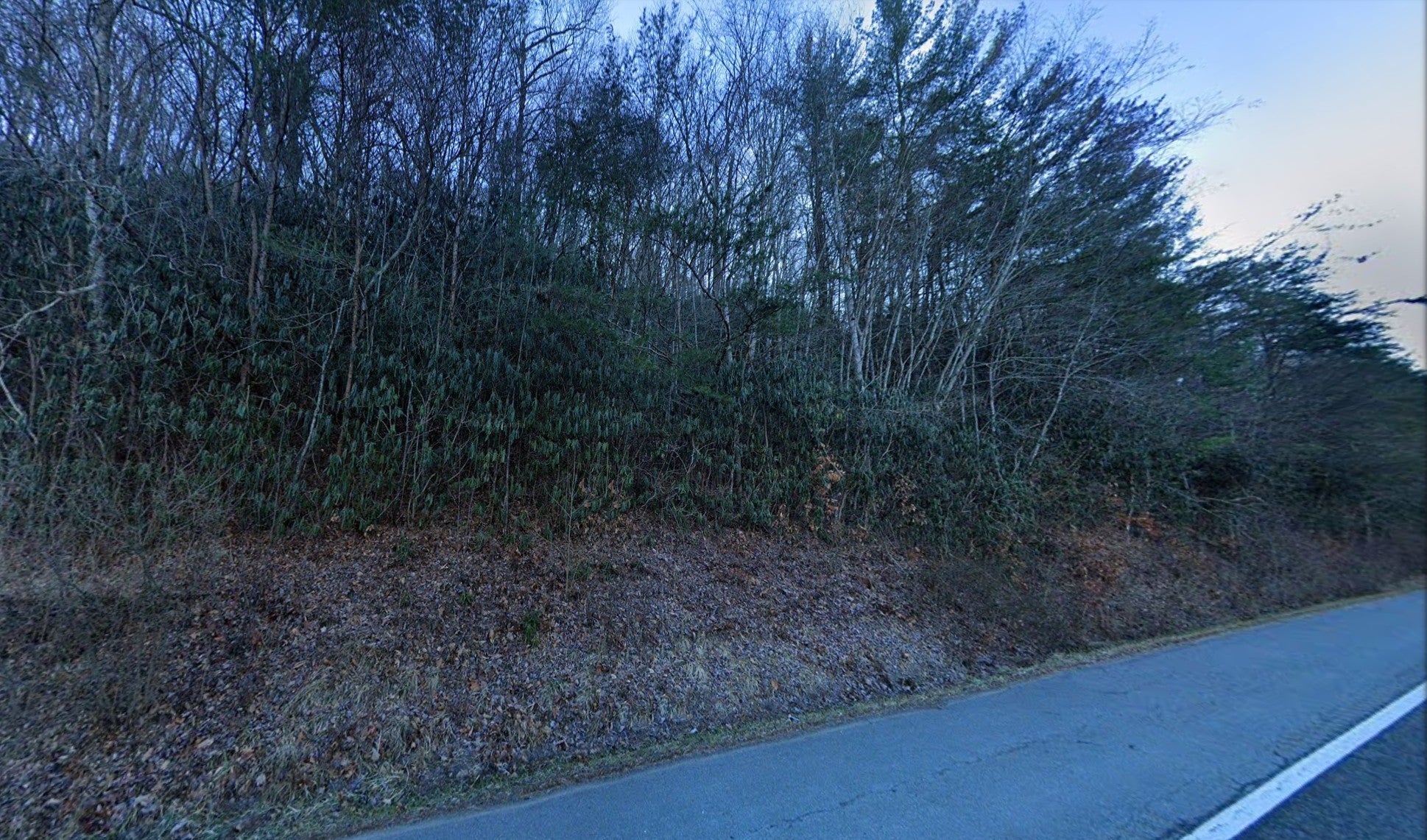 5540 US 19E