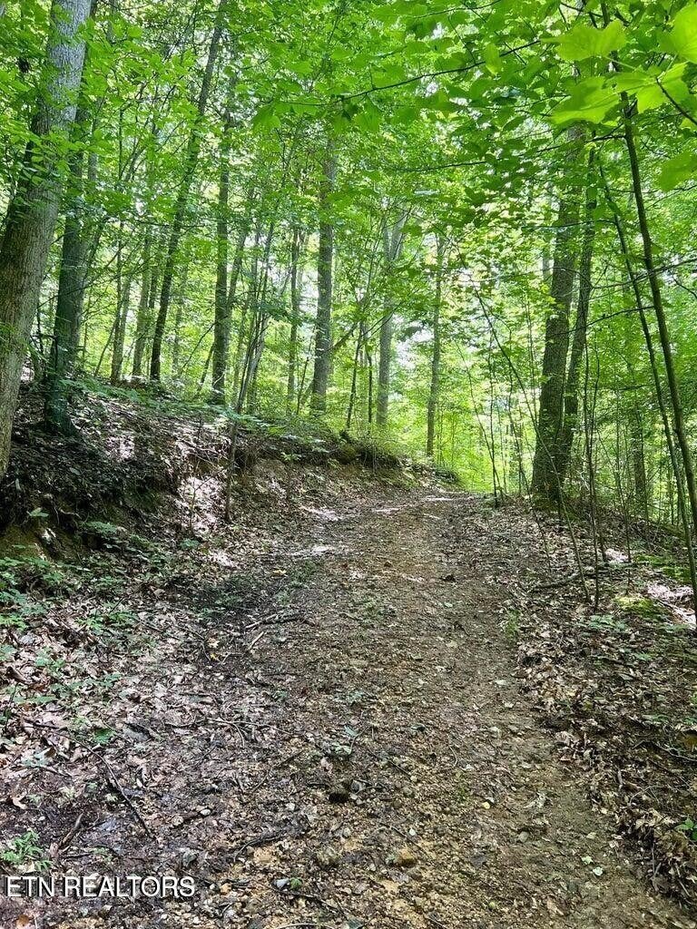 0 Jackson Ridge Rd