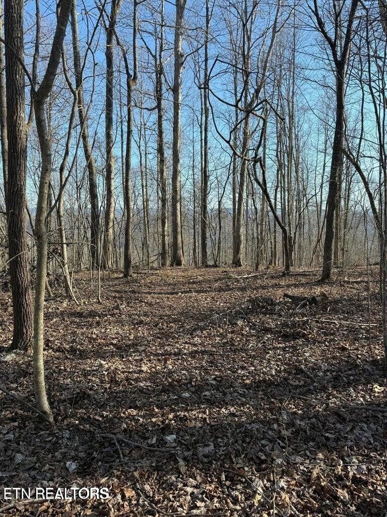 0 Jackson Ridge Rd