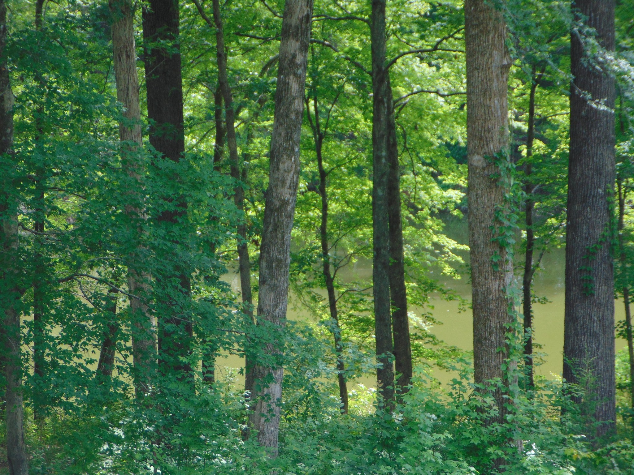 2995 Beech Creek Loop