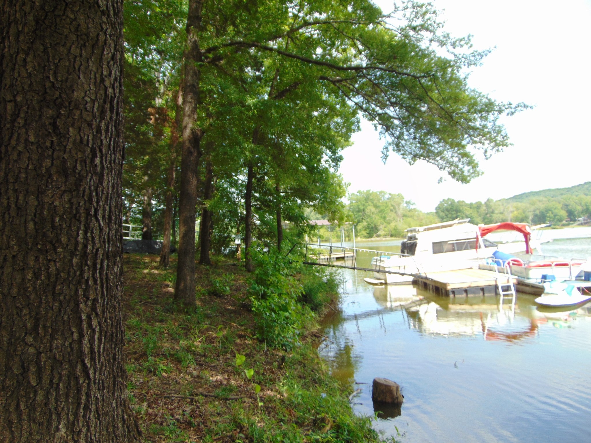 2995 Beech Creek Loop