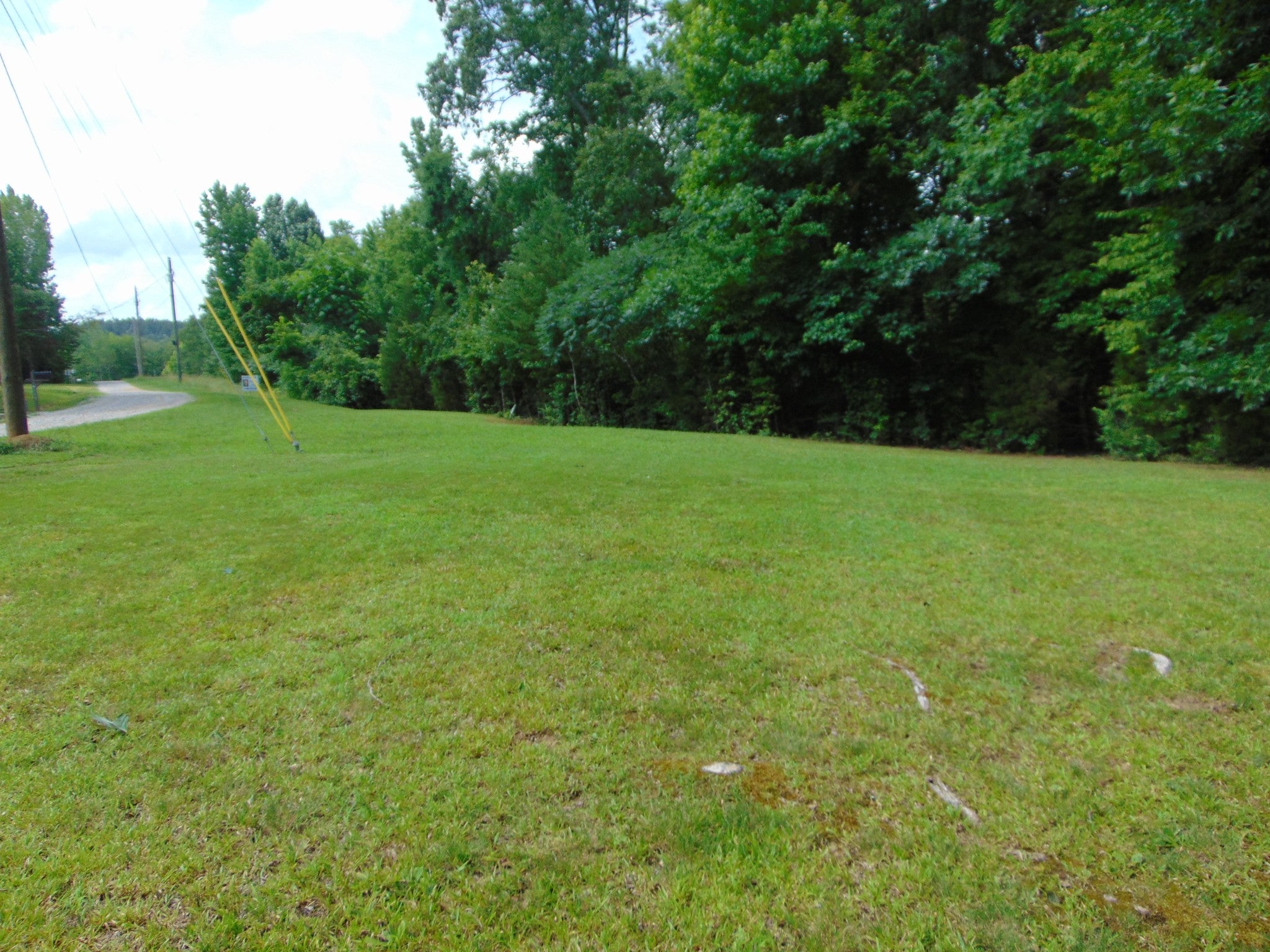 2995 Beech Creek Loop