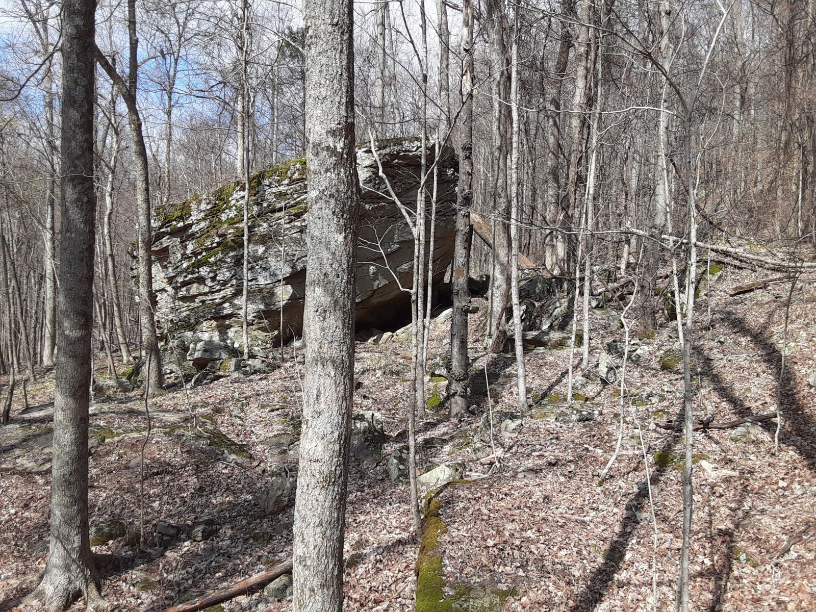 0 SHEEP BLUFF ROAD