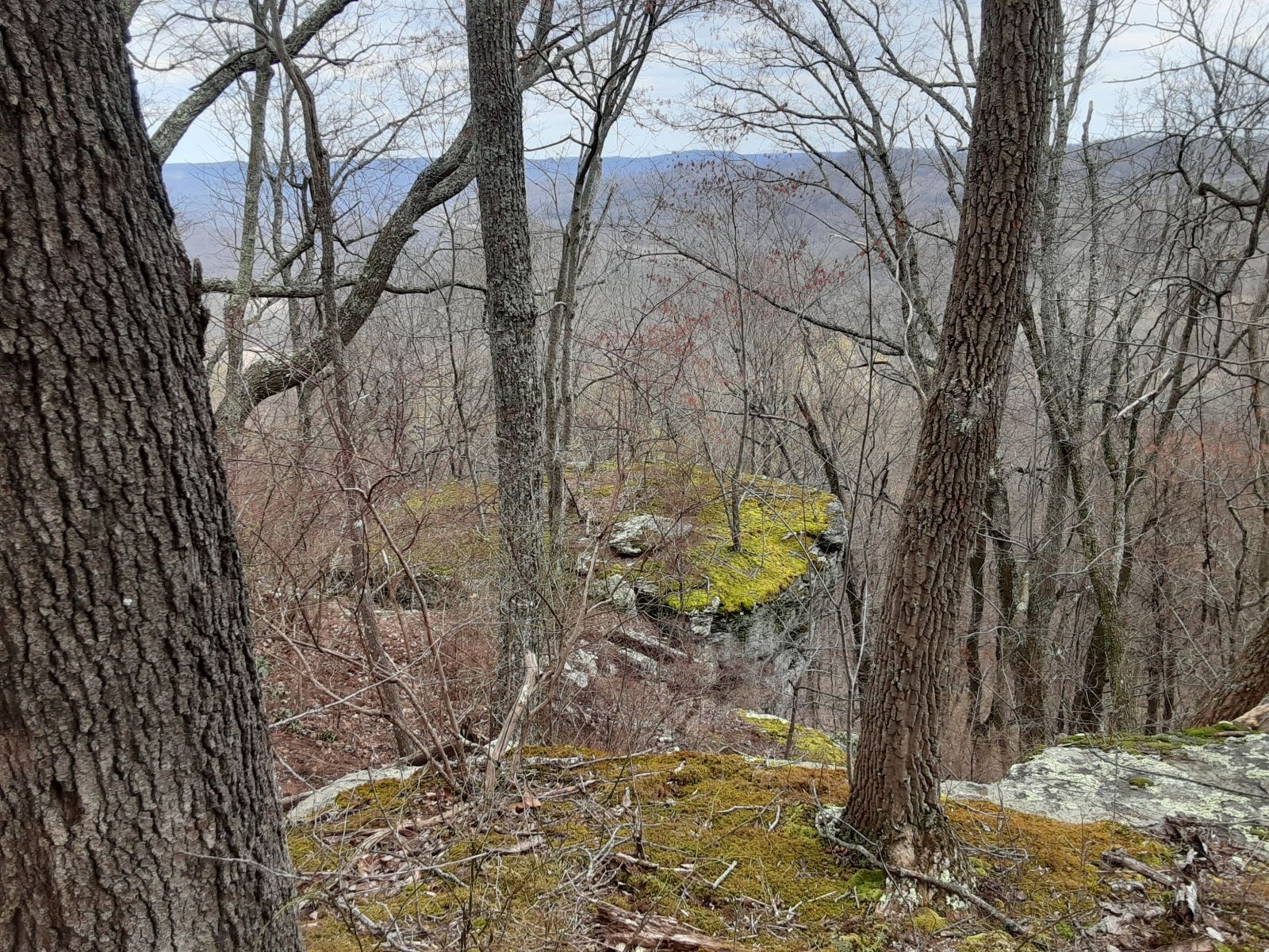 0 SHEEP BLUFF ROAD