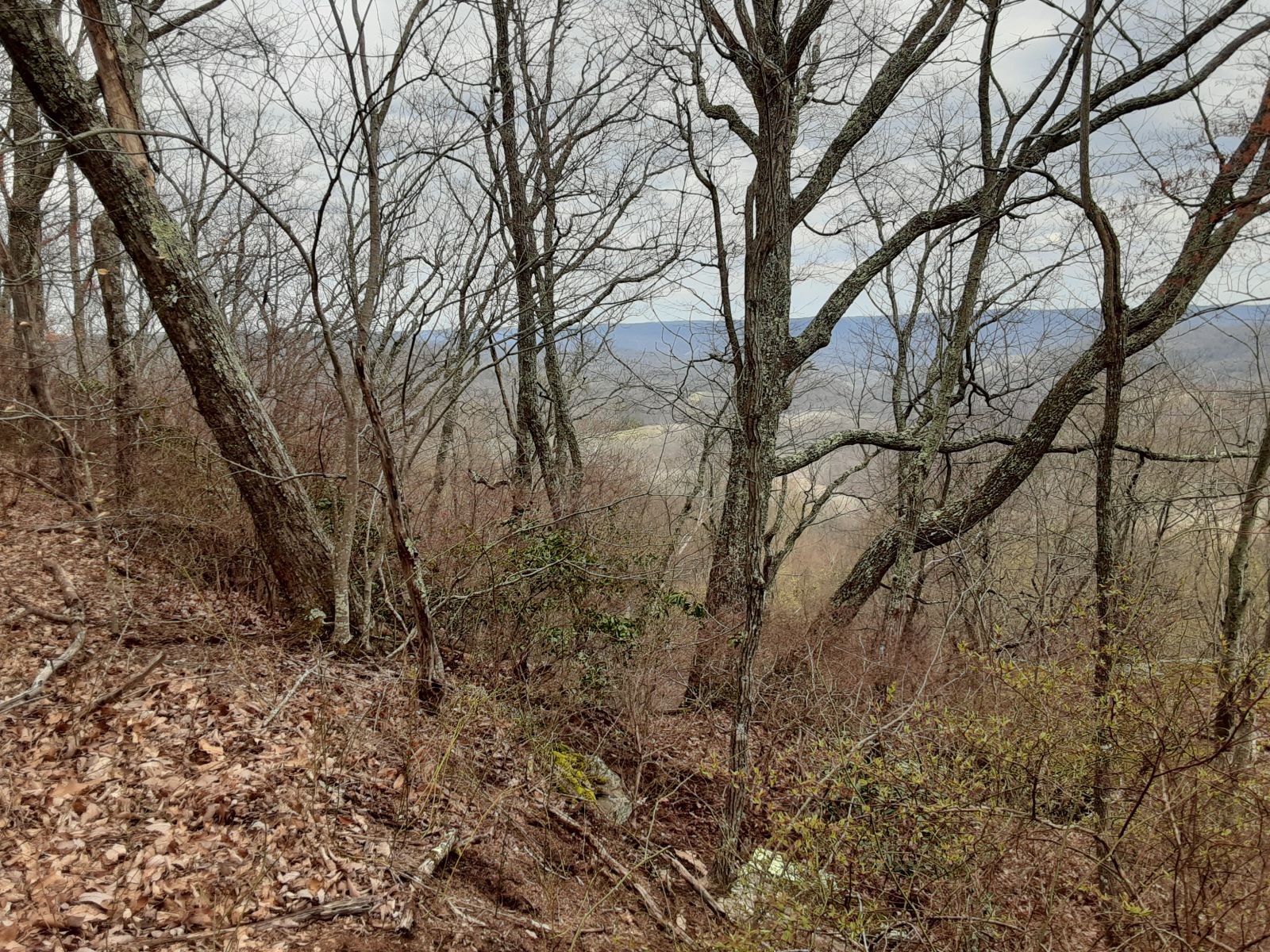 0 SHEEP BLUFF ROAD