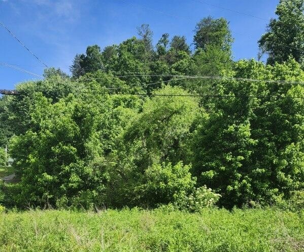 0 Henderson Springs RD