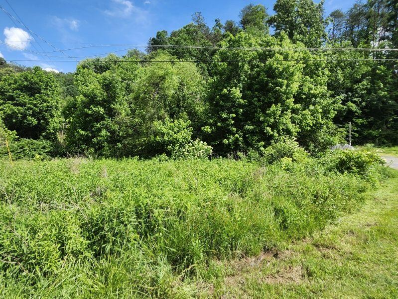 0 Henderson Springs RD