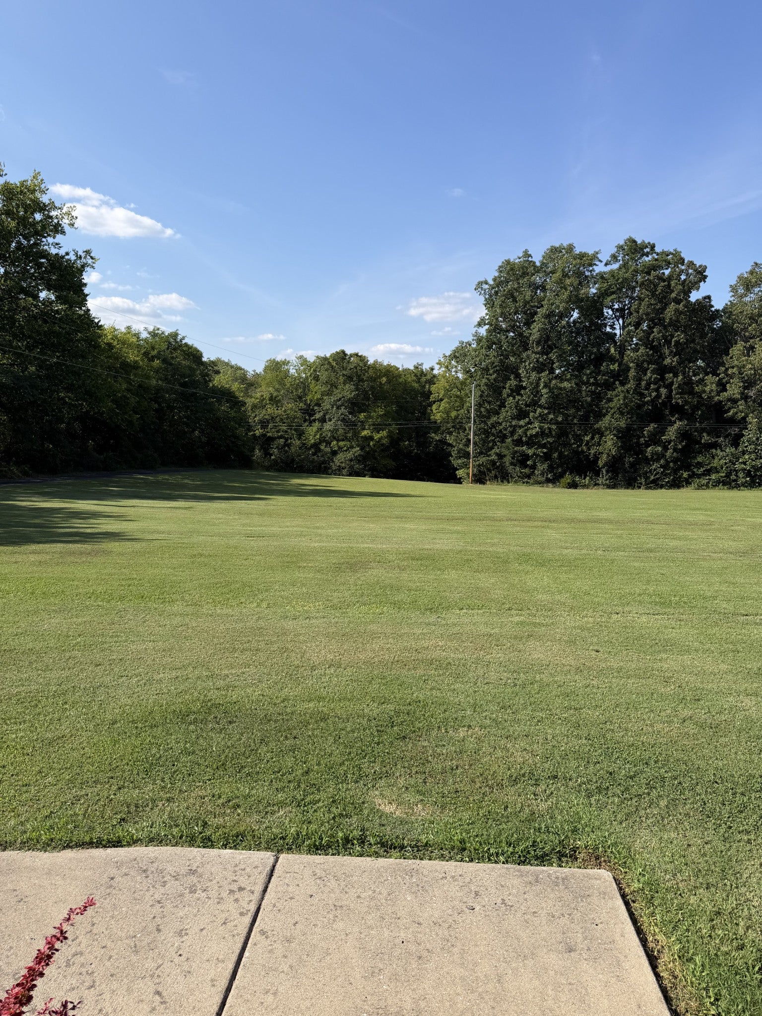 808 Clearview Rd
