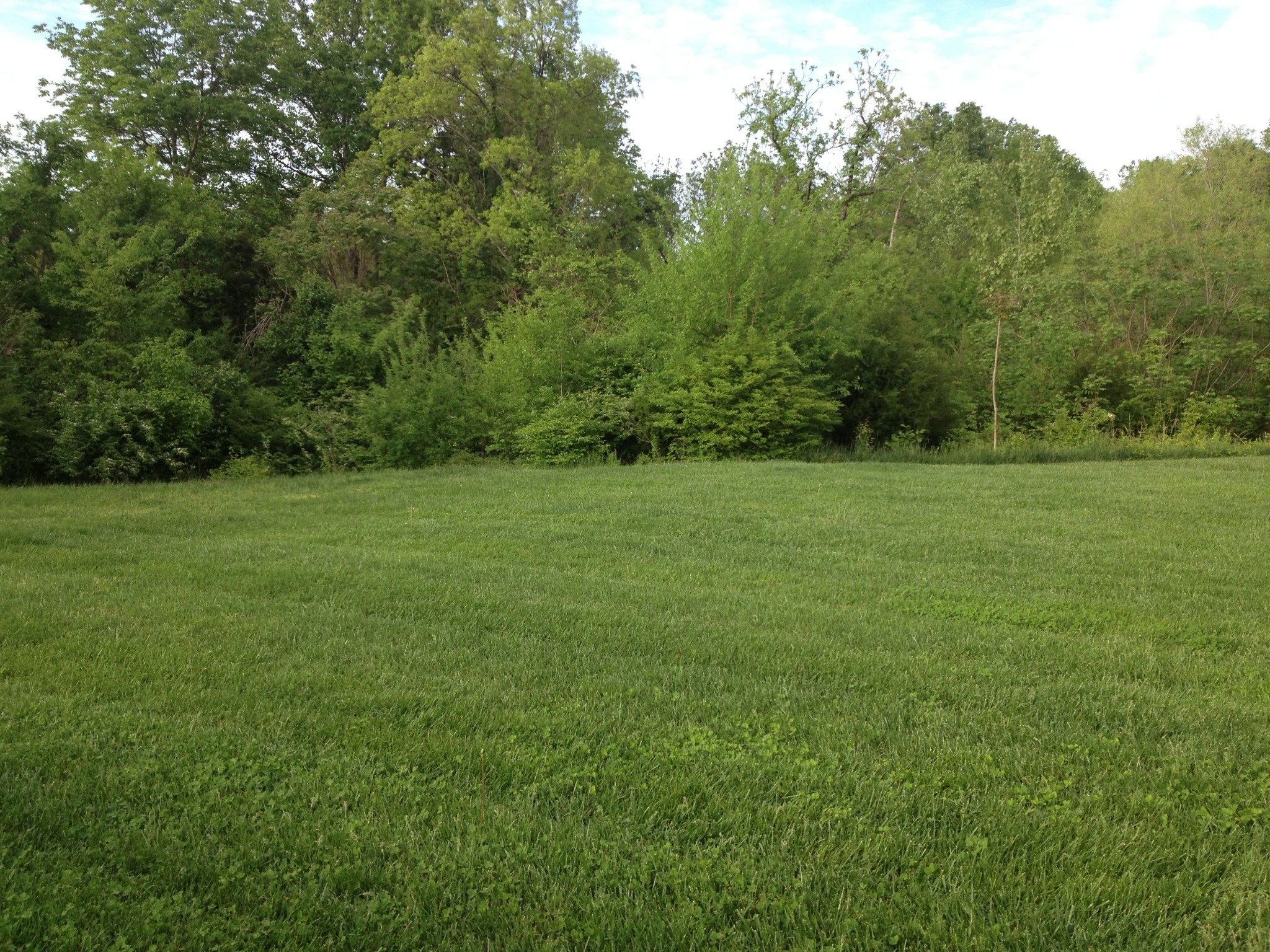 7024 Stone Run Dr