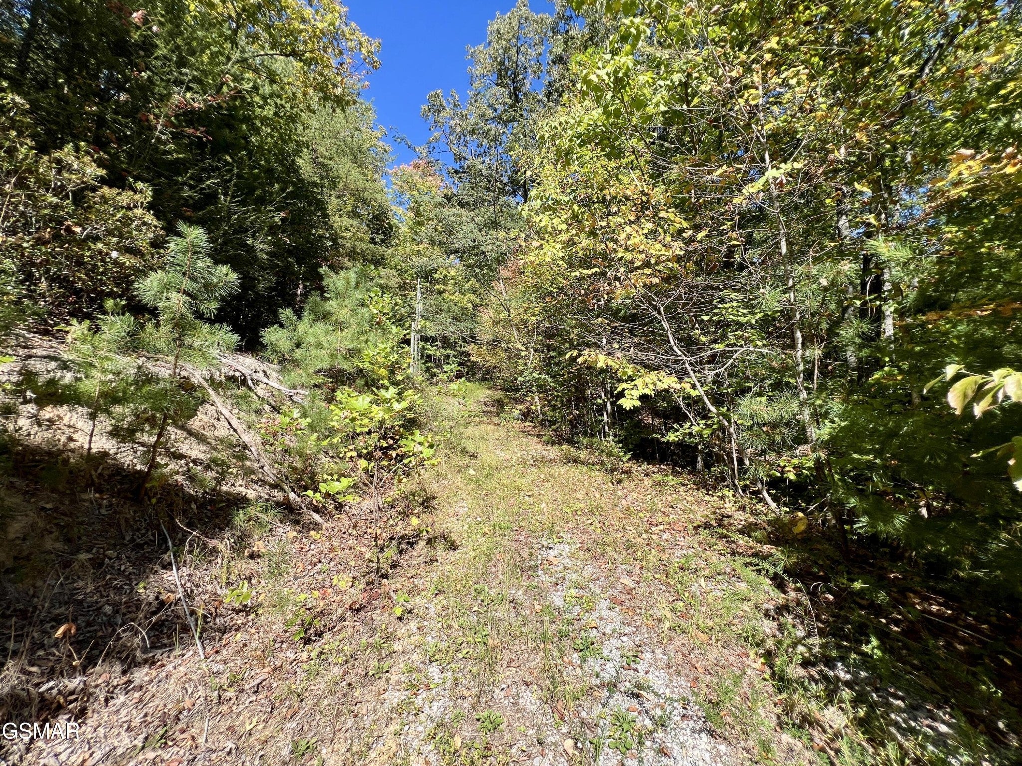 6 Creek Hollow Way