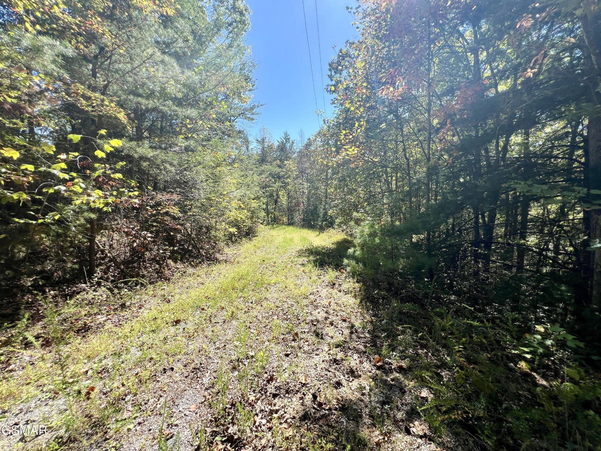 6 Creek Hollow Way
